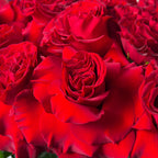 Valentine's Limited Edition Red ‘HEART’ Roses